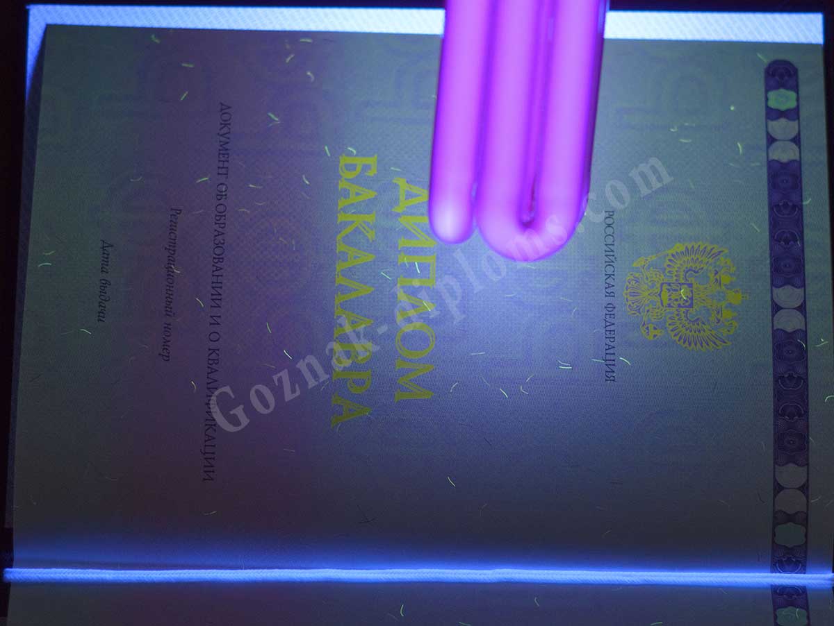 Диплом бакалавра 2014-2026